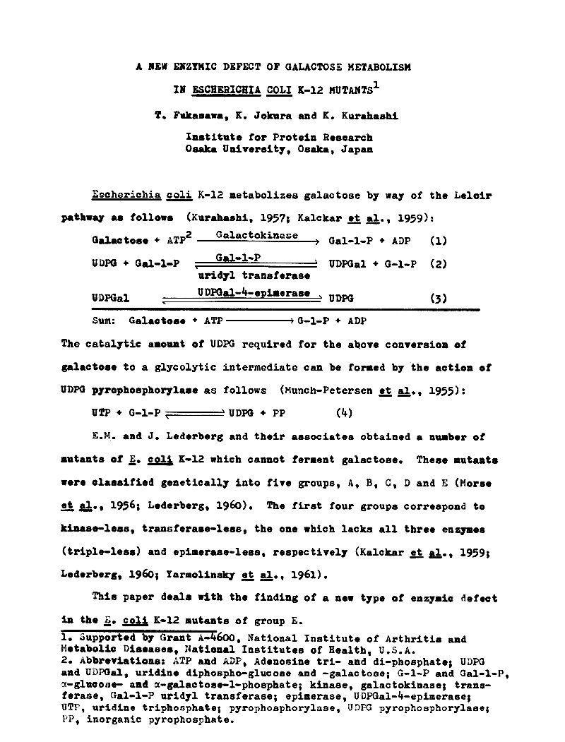 mike rose essay I just wanna be average rose states in his essay,reject the confusion and frustration by openly defining yourself as the common joe mike rose starts by . mike rose essay I just wanna be average rose states in his essay,reject the confusion and frustration by openly defining yourself as the common joe mike rose starts by .